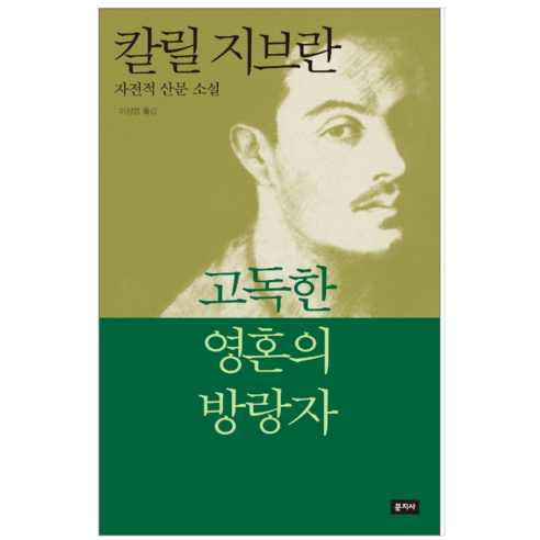 고독한 영혼의 방랑자 - 소설