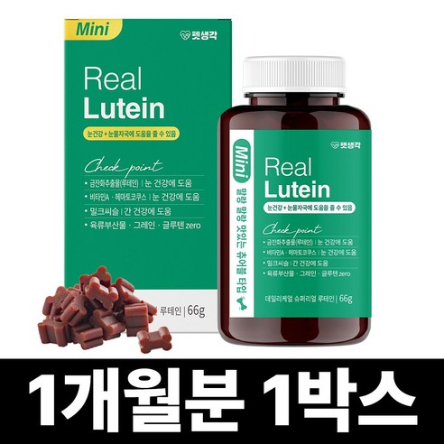 펫생각 Mini 데일리케얼 리얼 루테인 강아지 66g 31정, 1박스