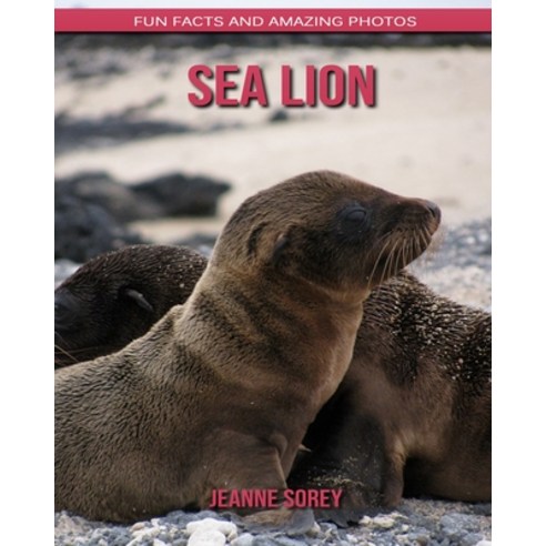 Sea Lion: Fun Facts and Amazing Photos Paperback, Independently