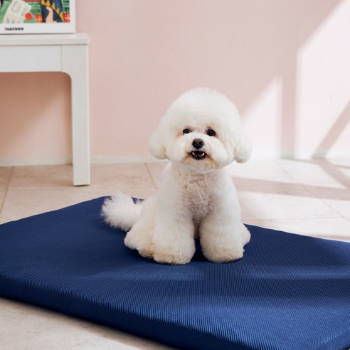 반려견에게 최고의 잠자리를 선물하세요.