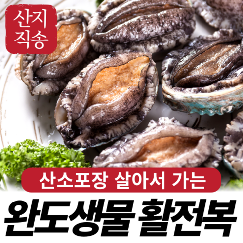 [산지직송] 안군수산 완도 전복 활전복 참전복 특대 대 산소포장 당일발송