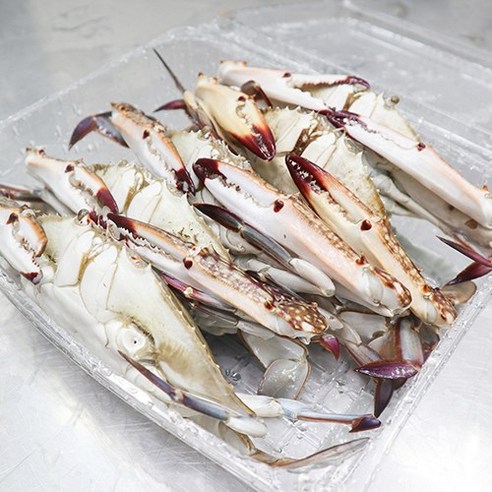 맛있는 국내산 프리미엄 숫꽃게를 특별가로 즐기세요!