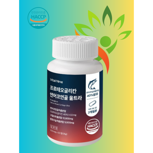 영밸런스 프로테오글리칸 연여코연골