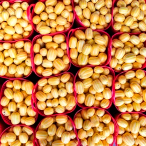 제철 성주참외, 여름의 달콤함