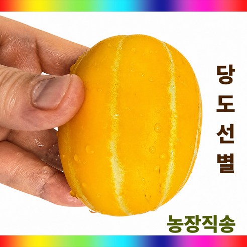 농장직송 고당도 Brix 성주 참외 당도선별
