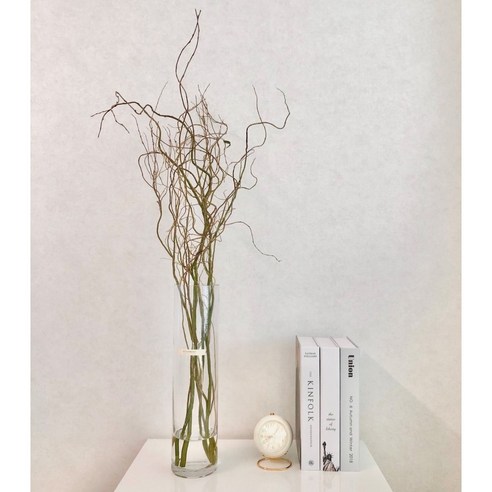 자연의 아름다움을 가정으로, 수경식물의 다기성, 공간 장식의 솔루션