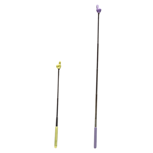 발표의 새로운 필수품