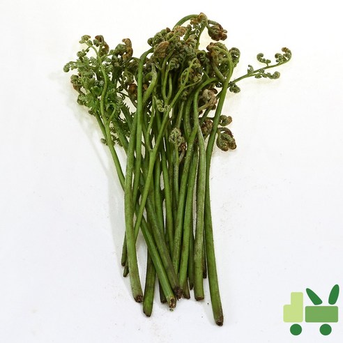 사라상회 생고사리 8kg