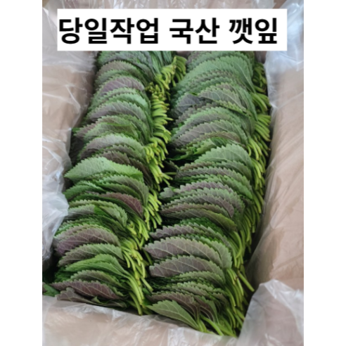 당일수확 국내산 깻잎 깻 잎 10단 1kg 2kg 국산 국산채소 제철채소 향긋한 깻잎나물 깨