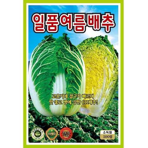 황금추석배추 배추씨앗 500립 진흥종묘 24년, 단품