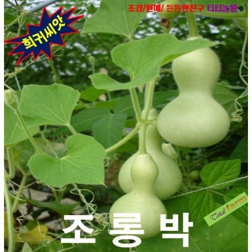 (희귀씨앗) 표주박을 만들려면 조롱박 5립, 1개