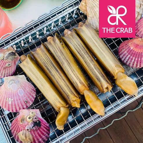 태안의 풍부한 풍미를 담은 신선한 조개류