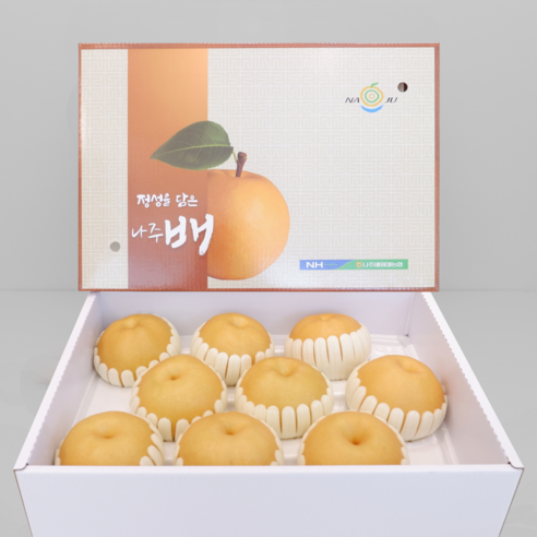 23년 프리미엄 고당도 햇배 신고배 선물용배 나주 배, (특품) 5kg / 8-10과