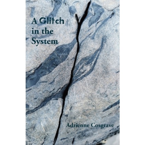 (영문도서) A Glitch in the System Paperback, Ginninderra Press, English, 9781761092824