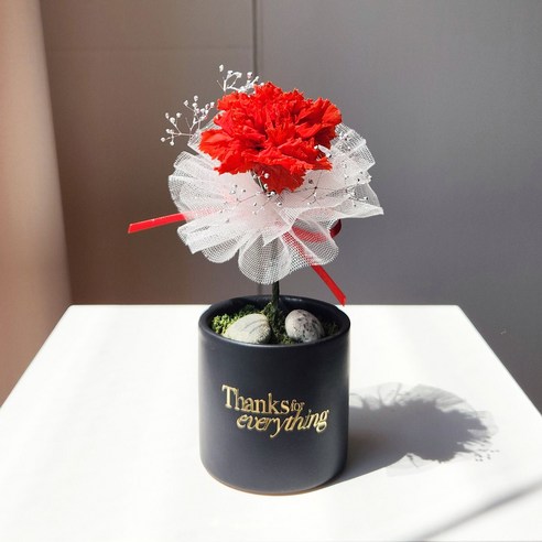 카네이션 장미 프리저브드플라워 한송이 화분 꽃선물 꽃다발 어버이날 스승의날 로즈데이, 1. 카네이션 핑크, 1. 포장없음