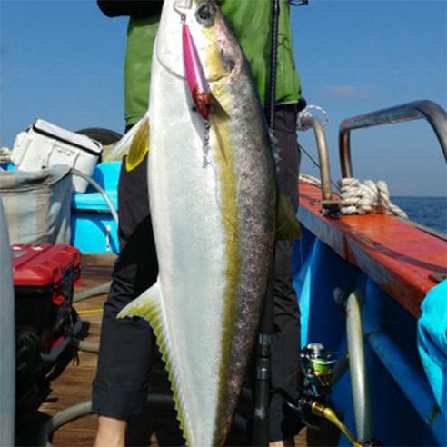 지타누스 선상낚시대 우럭 대구 농어 외수질 광어다운샷로드 열기 문어 버티컬 슬로우 지깅대, 210M/MH 투팁