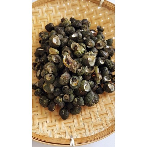 제주 바다를 식탁으로, 손질된 보말로 간편하게!