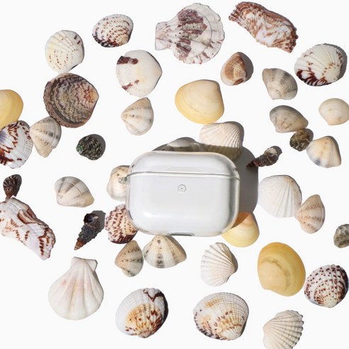 빌랑 천연 조개껍질로 당신의 창의성을 펼치세요