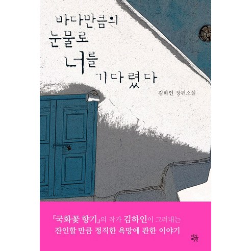 바다만큼의 눈물로 너를 기다렸다:김하인 장편소설, 네오픽션