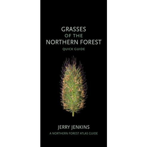 (영문도서) Grasses of the Northern Forest: Quick Guide Other, Comstock Publishing, English, 9781501764318