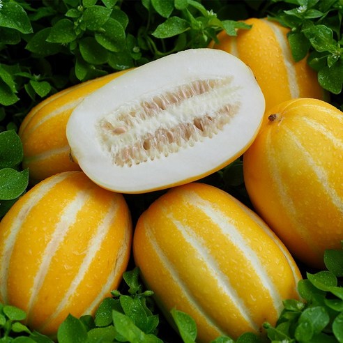 성주 당도선별 참외 혼합과 1kg 2kg 산지: 경북 성주, 1개