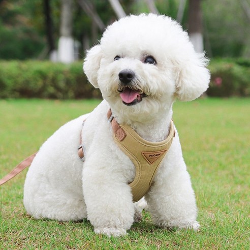 디아쿠아 강아지 고양이 겸용 바디핏 하네스+리드줄, 베이지