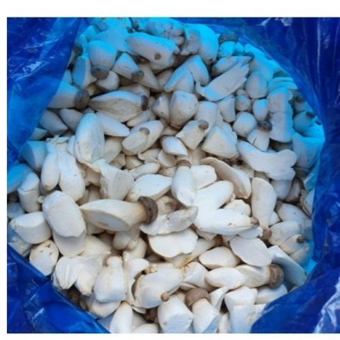 국내산 새송이버섯 2kg, 1개이라는 상품의 현재 가격은 7,500입니다.