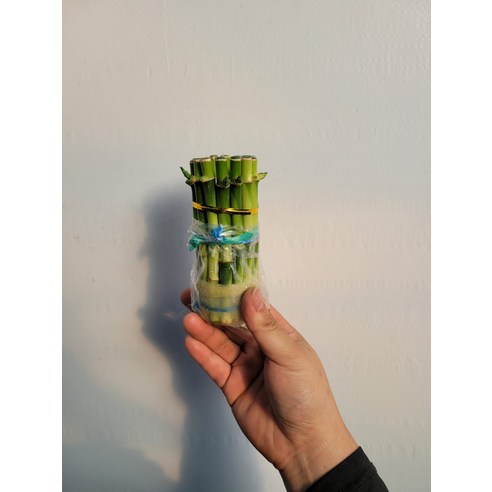 전동 전기 도자기 물레 공방 공예 도예 손물래 교육용, A 250W 핸드 푸시 페달 통합 실내대나무물레 Best Top5 13 10cm 원통 개운죽 1단 35