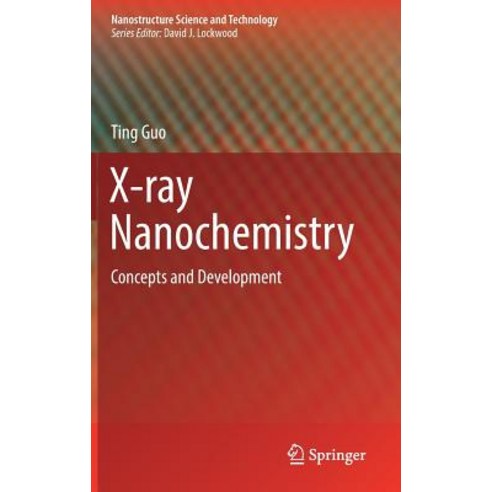 (영문도서) X-Ray Nanochemistry: Concepts and Development Hardcover, Springer, English, 9783319780023