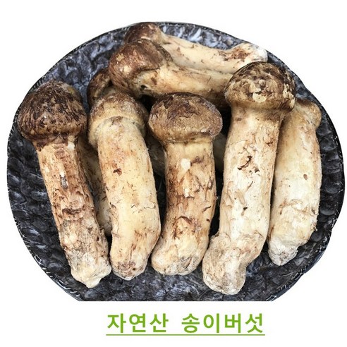 진심좋은 자연산 냉동 송이 버섯 자연 송이버섯, 특등급 500g, 1박스