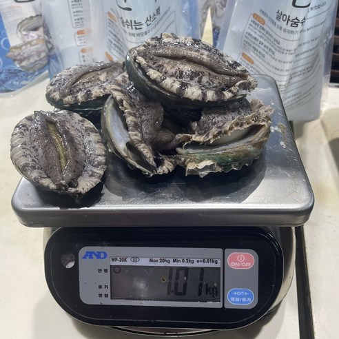 신선한 완도 활전복, 건강한 삶을 위한 필수 식품