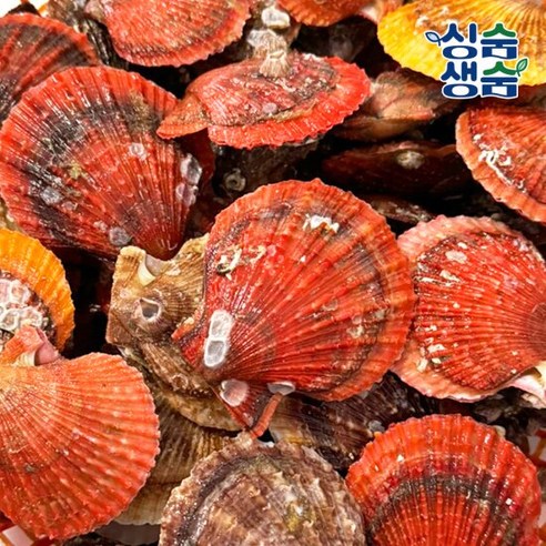 [싱숨생숨] 국내산 통영 제철 비단가리비 1kg (25~35미 내외), 1개