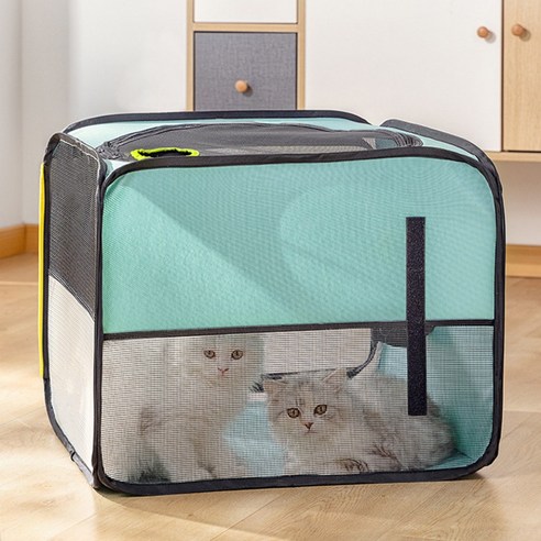 반려동물을 위한 편안하고 안전한 공간: 투데이리빙 접이식 펫드라이룸