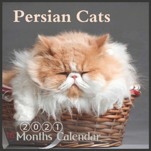 Persian cats: 2021 Wall Calendar 16 Month Calendar "8.5x8.5" Inch Paperback, Independently Published, English, 9798554233852