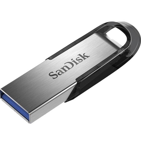 샌디스크 플래쉬 단자노출형 USB3.0 실버 CZ73, 256GB