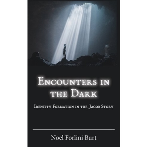 Encounters in the Dark: Identity Formation in the Jacob Story Hardcover, SBL Press, English, 9780884144595