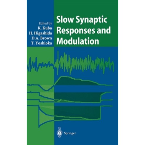 (영문도서) Slow Synaptic Responses and Modulation Hardcover, Springer, English, 9784431702498