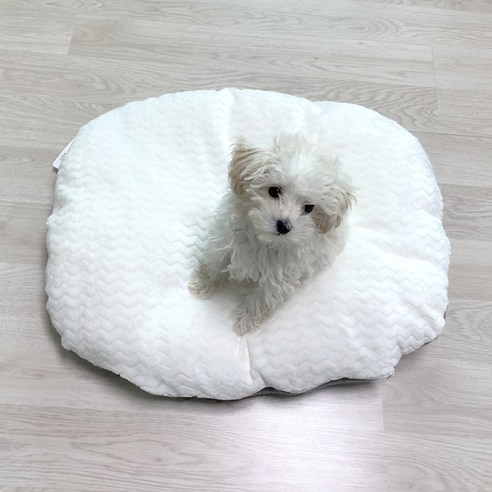 부드러움, 스타일, 편안함, 청소 용이성을 갖춘 와우독 강아지 극세사 커버분리 방석