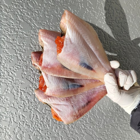 신선하고 맛있는 국내산 반건조 가자미, 8개, 대