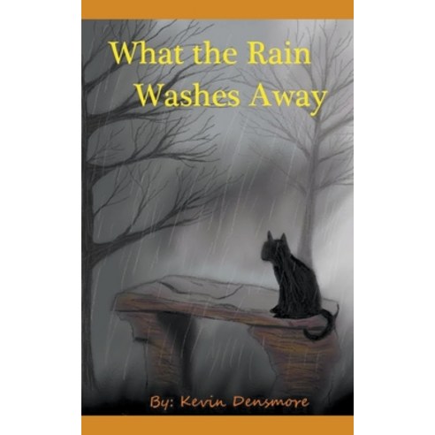 (영문도서) What the Rain Washes Away Paperback, Kevin Densmore