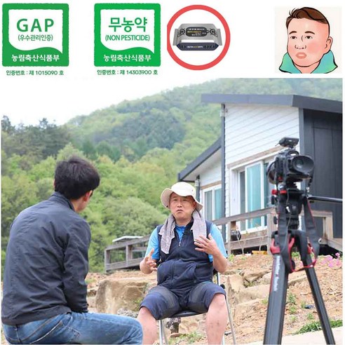 국내생산 GAP인증 목이버섯 마이산 오형제팜 천연 암반수 생목이버섯500g/1kg, 건목이100g, 1개