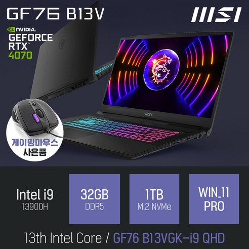 MSI Sword GF76 B13VGK-i9 QHD [이벤트 한정특가 / 사은품증정], WIN11 Pro, 32GB, 1TB, 코어i9, 블랙