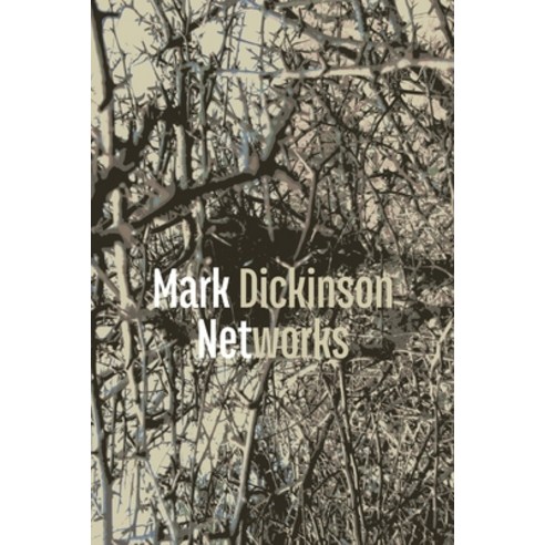(영문도서) Networks Paperback, Shearsman Books, English, 9781848617650