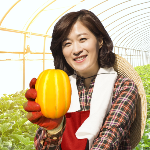 [15브릭스 고당도] 성주 꿀 참외 당도선별 산지직송 1kg 2kg 3kg 5kg 10kg, 1개, 1-3) 못난이 성주참외 3kg (혼합과)