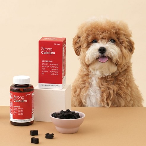 펫생각 리얼칼슘으로 댕댕이 관절 건강을 튼튼하게!