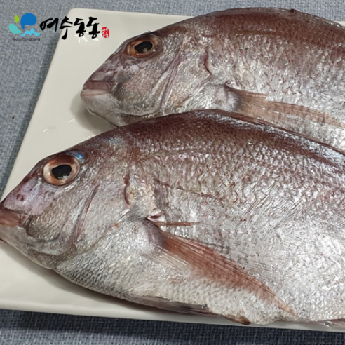 (여수동동식품)반건조 참돔 1미당 25cm 내외 2마리 450g~500g 국내산 / 와사비 믹스 간장 증정, 1개 민어회