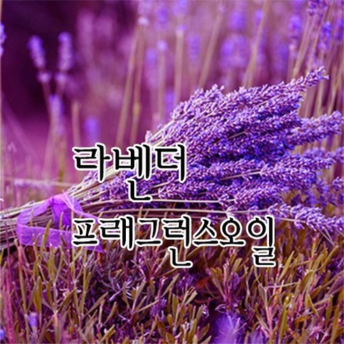 [허니솝] 프래그런스 오일 20ml 50ml 100ml 비누만들기재료 화장품DIY, 10. 아카시아f.o x 50ml, 1개