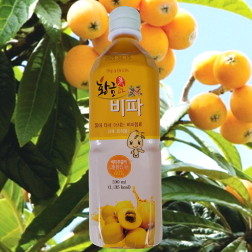 황금과비파 4배농축주스 선물용 비타민주스, 20개, 500ml
