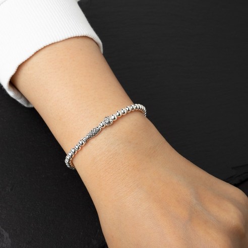 은빛 물고기의 행운을 떠안아라