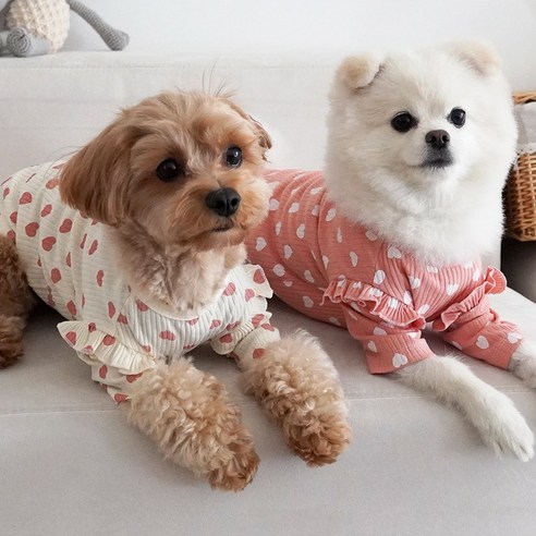 이구사공 강아지옷 러블리 프릴 데일리 티셔츠, A TYPE : 아이보리+핑크
